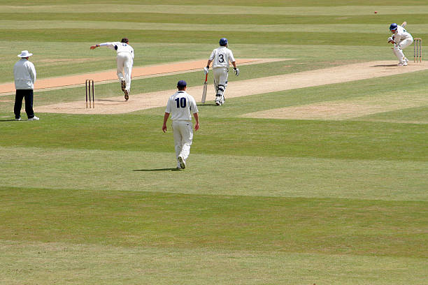 Cricket and the environment: From eco-friendly gear to stadium architecture