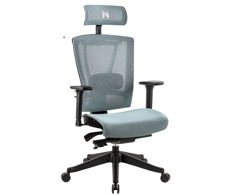 Hinomi Chair Review, Hinomi Review