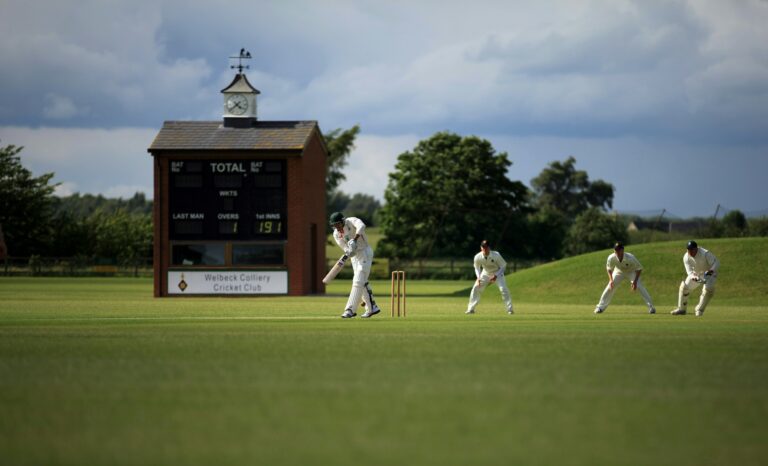 Exploring Different Types of Cricket Fans