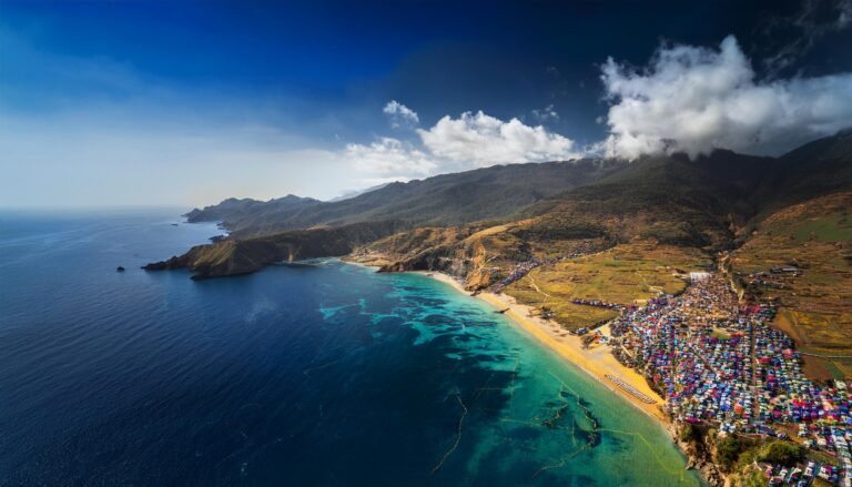 Laser Book 247 – Your 24/7 Betting Destination